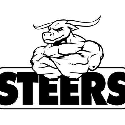 Steer